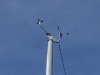 anemometre-fini anemometre-fini